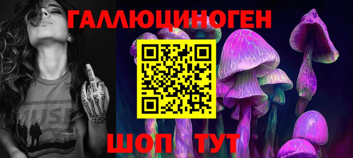 Псилоцибиновые грибы мицелий Видное