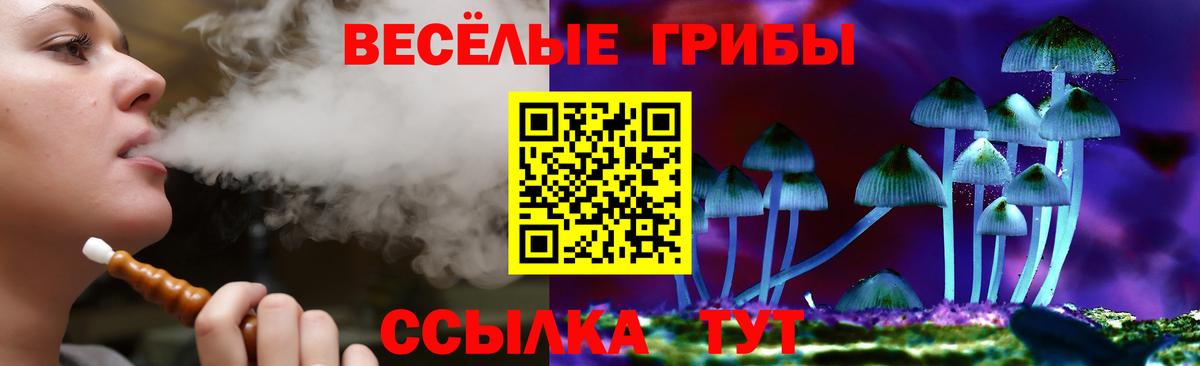 Видное  дарнет шоп  Вход с VPN  Псилоцибиновые грибы Psilocybe 